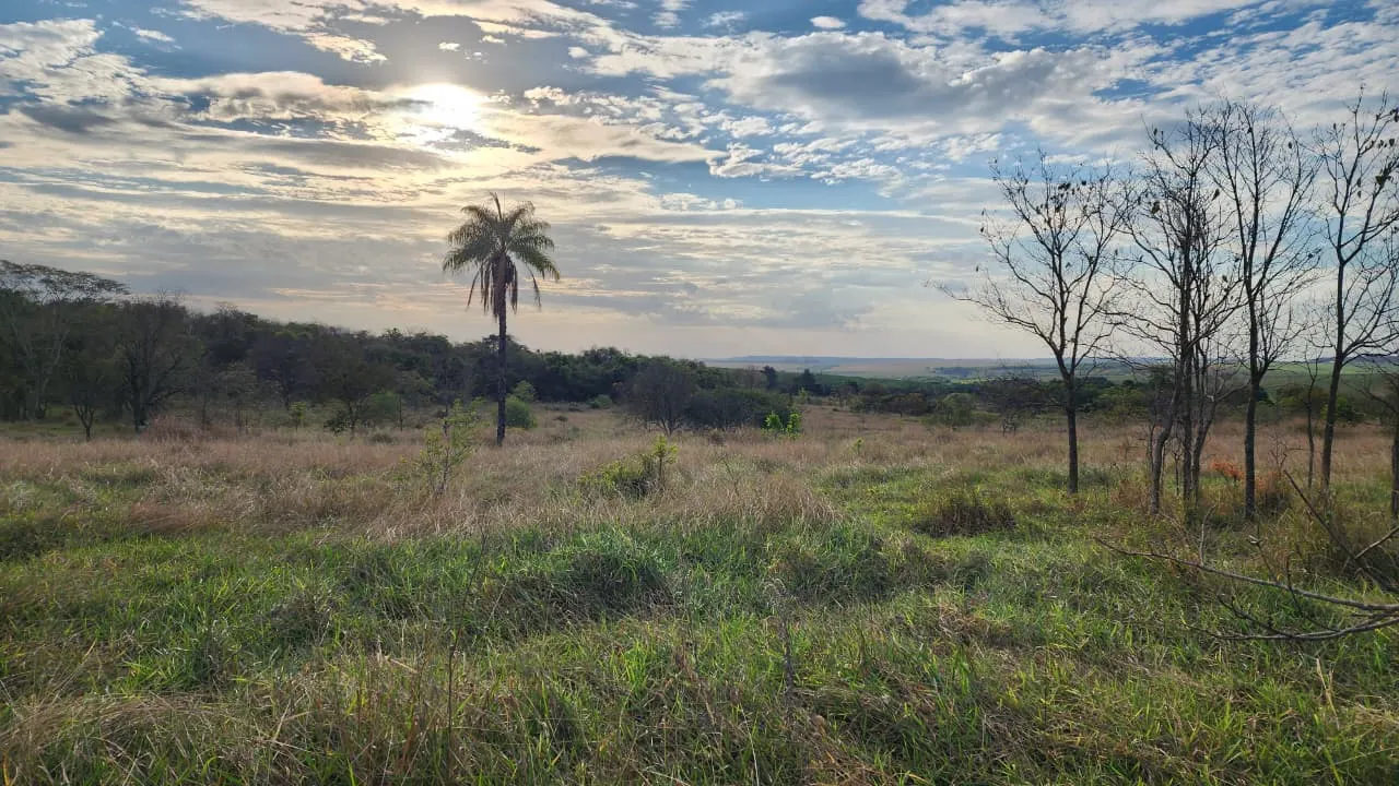 Terreno à venda de 72 ha em Prata, MG, Brasil