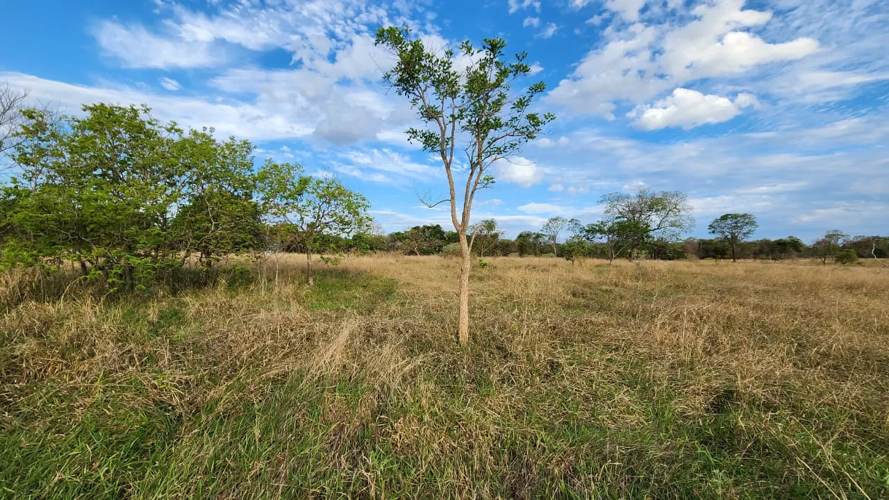 Terreno à venda de 72 ha em Prata, MG, Brasil