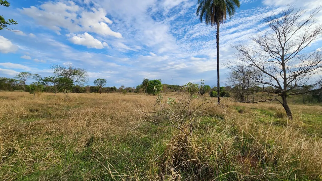 Terreno à venda de 72 ha em Prata, MG, Brasil