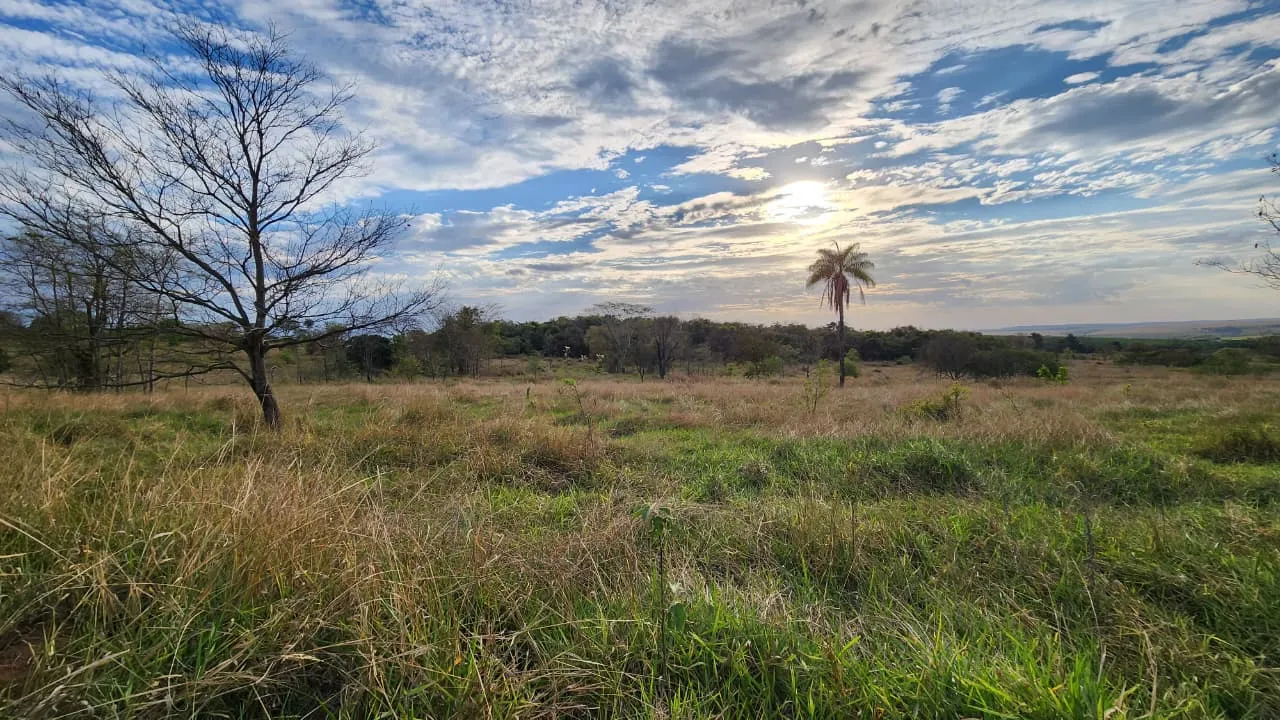 Terreno à venda de 72 ha em Prata, MG, Brasil