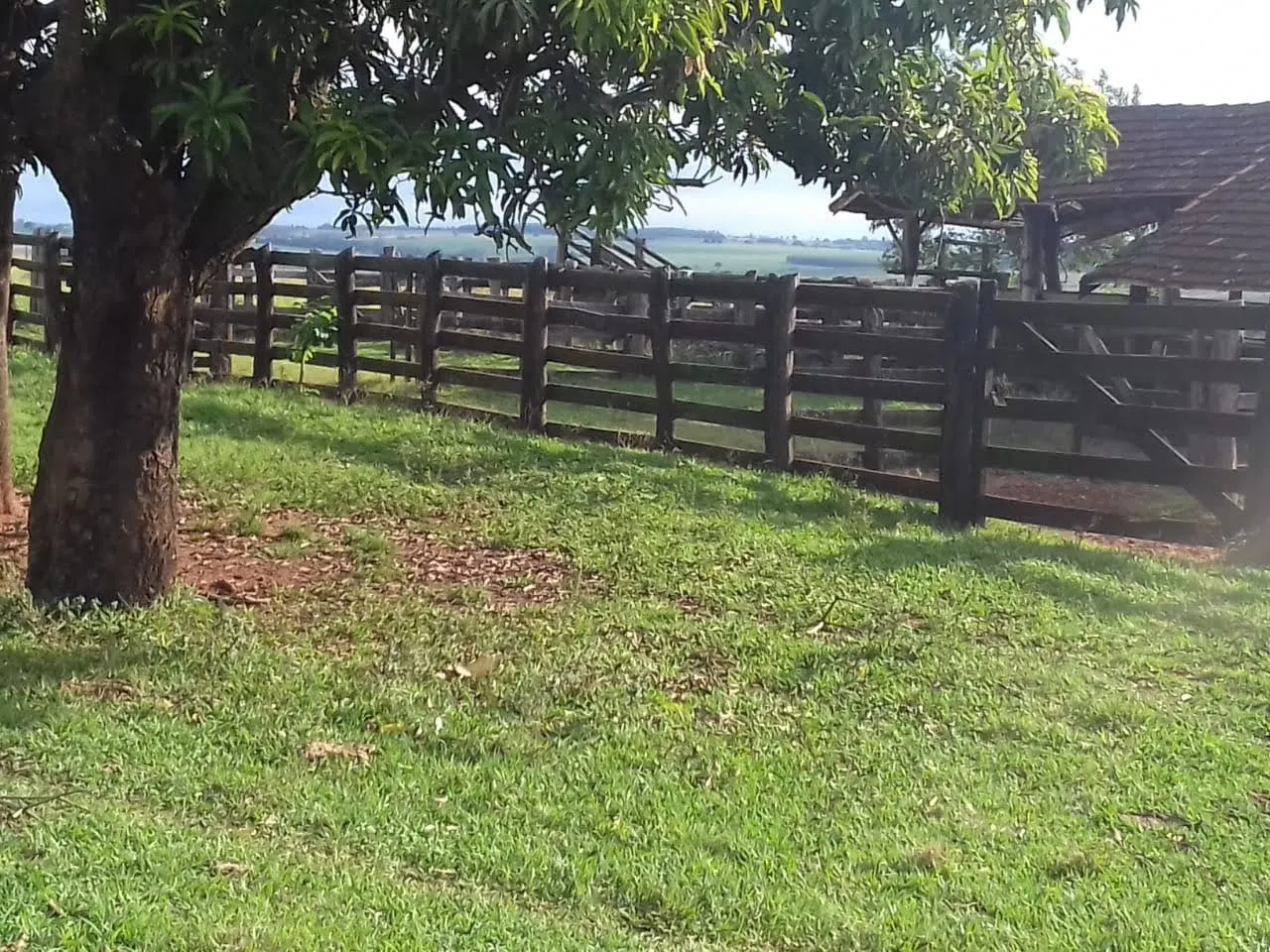 Fazenda à venda de 340 ha em Martinópolis, SP, Brasil