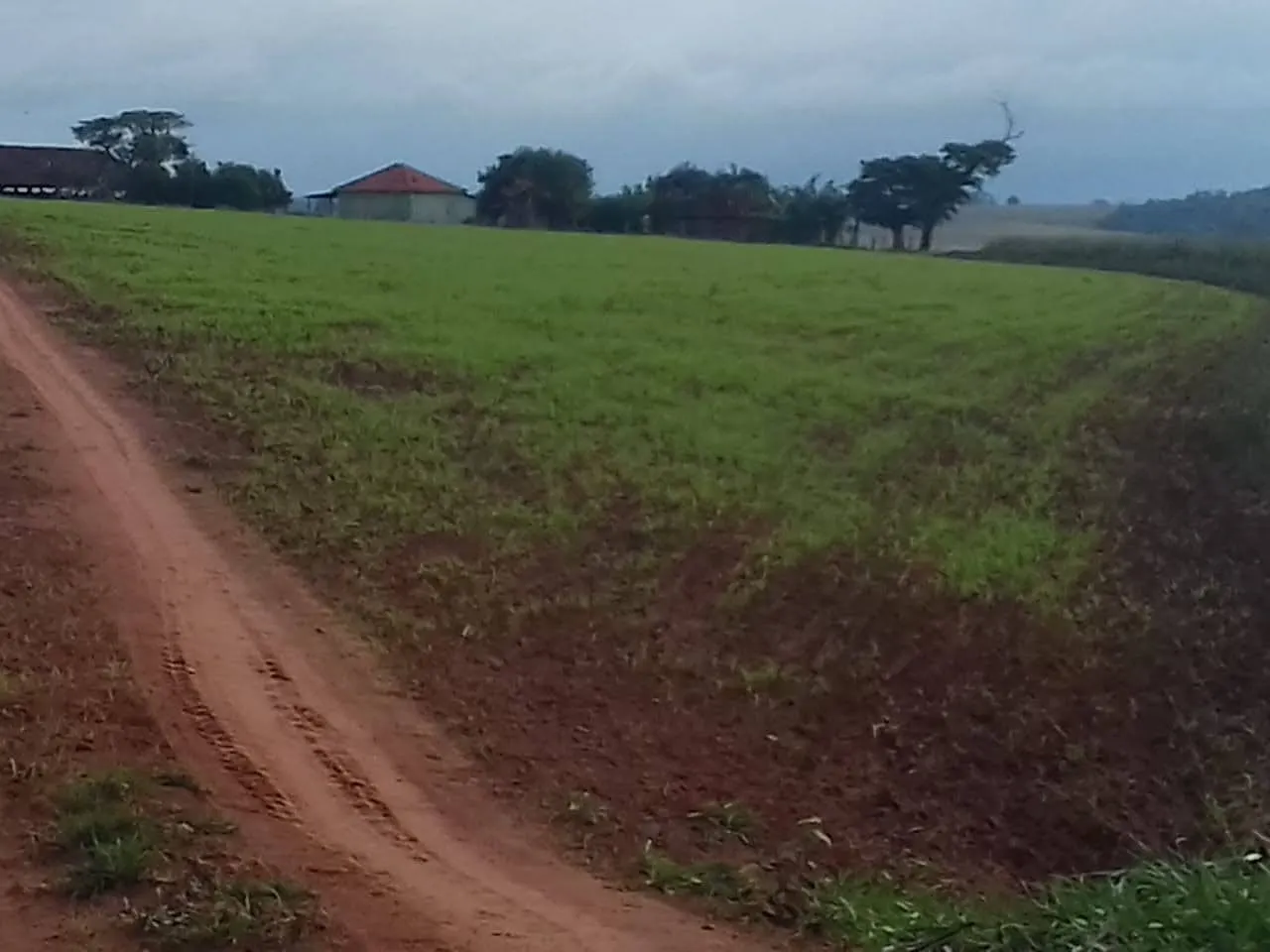 Fazenda à venda de 340 ha em Martinópolis, SP, Brasil