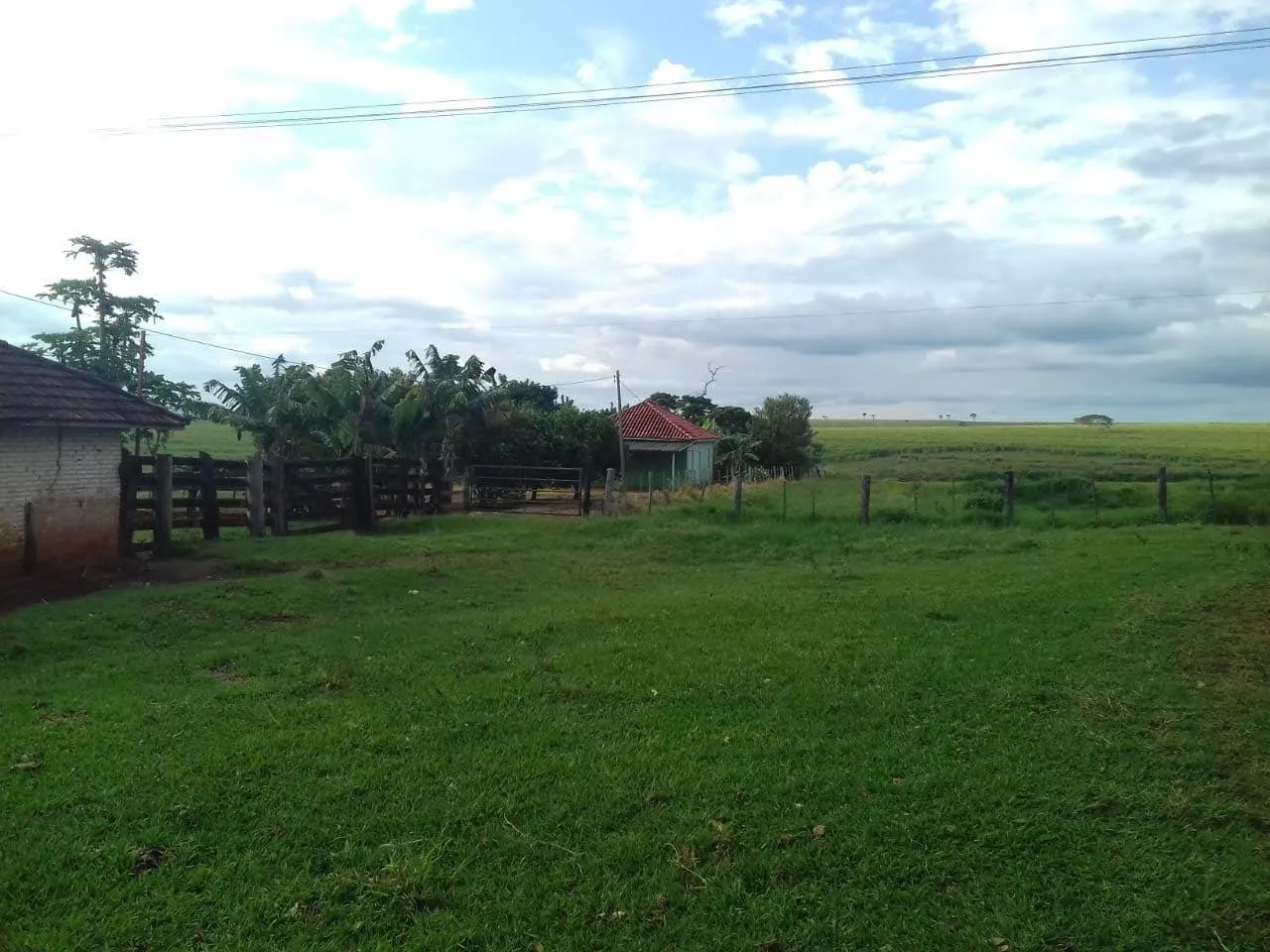 Fazenda à venda de 340 ha em Martinópolis, SP, Brasil