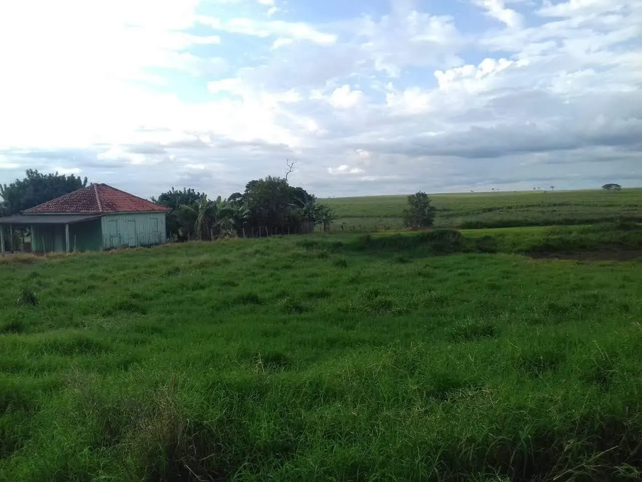 Fazenda à venda de 340 ha em Martinópolis, SP, Brasil