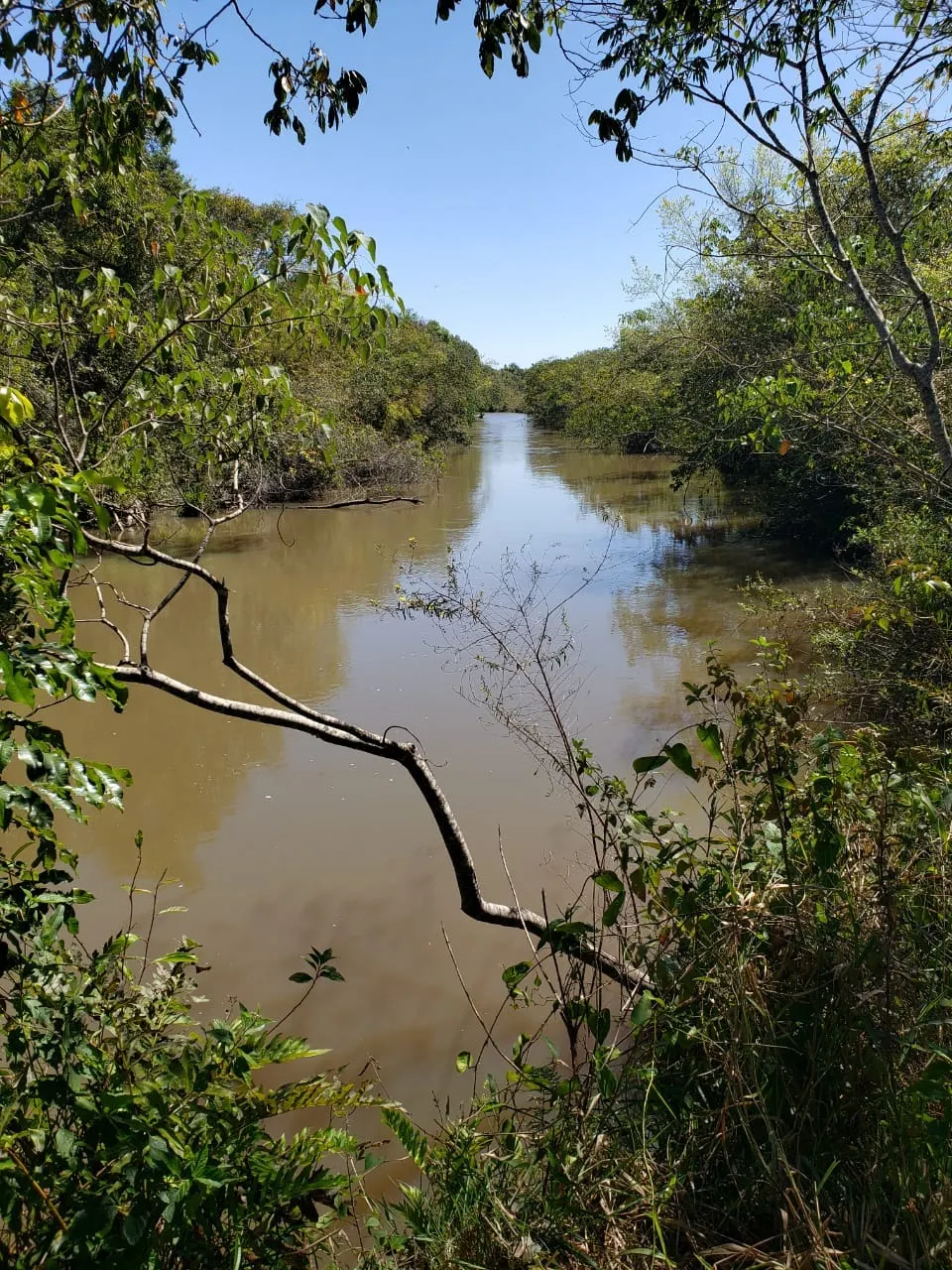 Fazenda à venda de 340 ha em Martinópolis, SP, Brasil