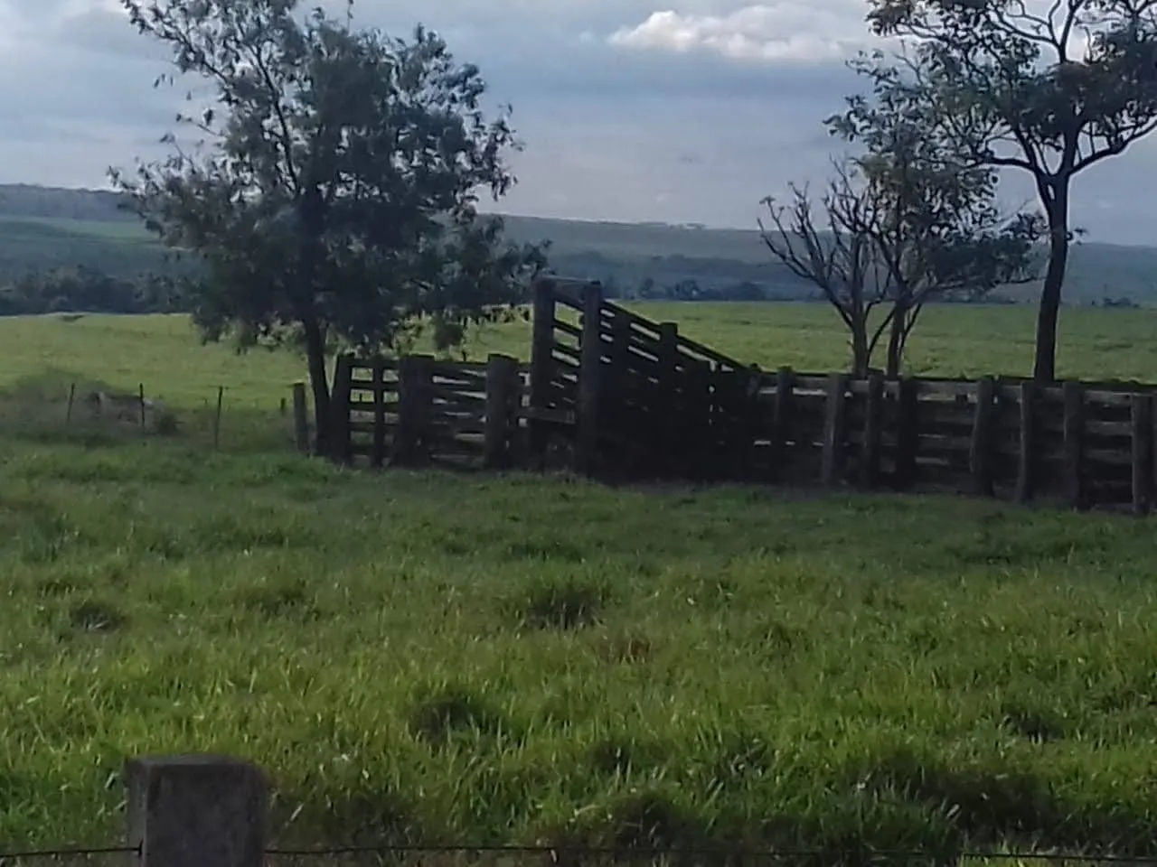 Fazenda à venda de 340 ha em Martinópolis, SP, Brasil