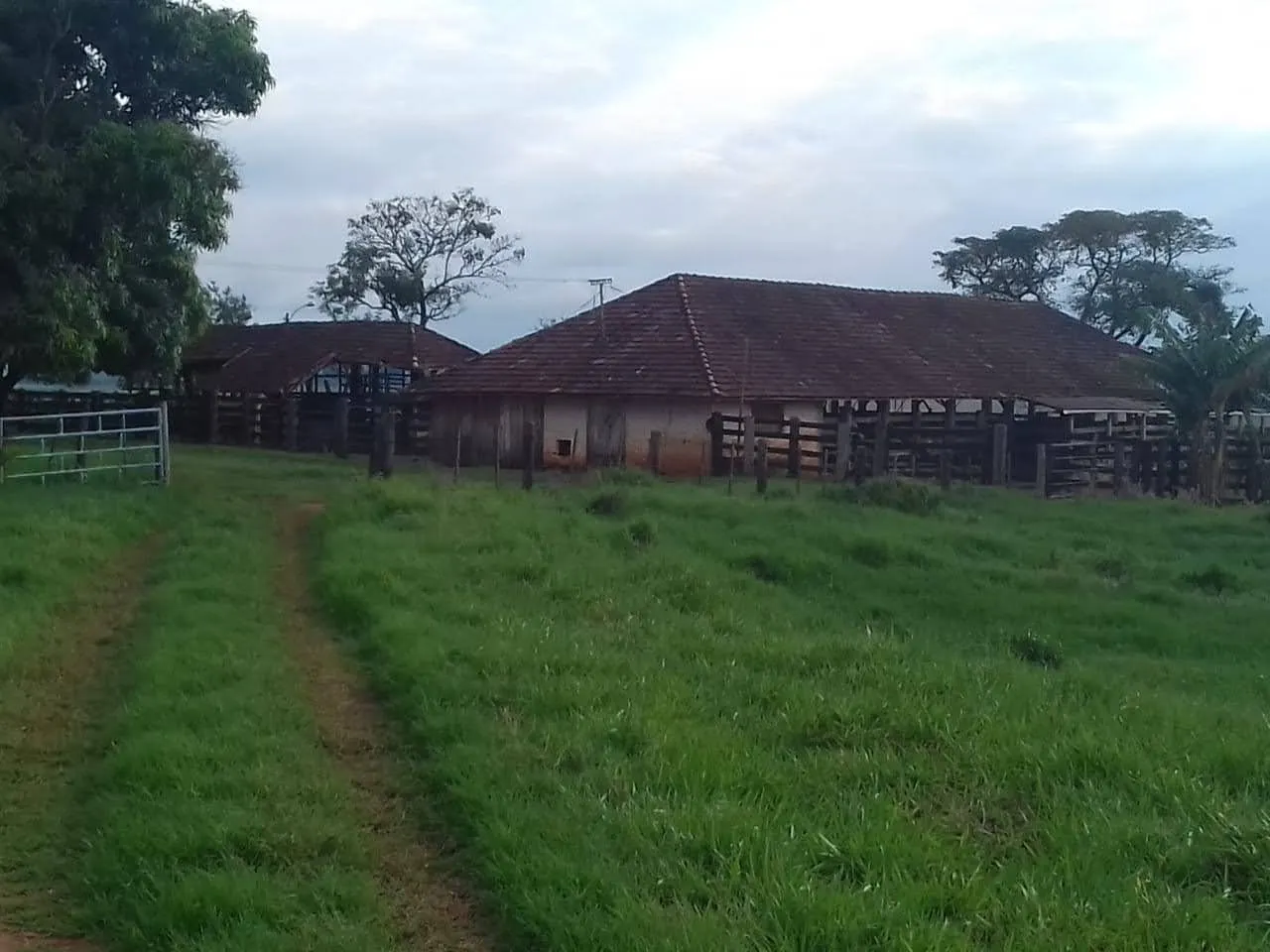 Fazenda à venda de 340 ha em Martinópolis, SP, Brasil