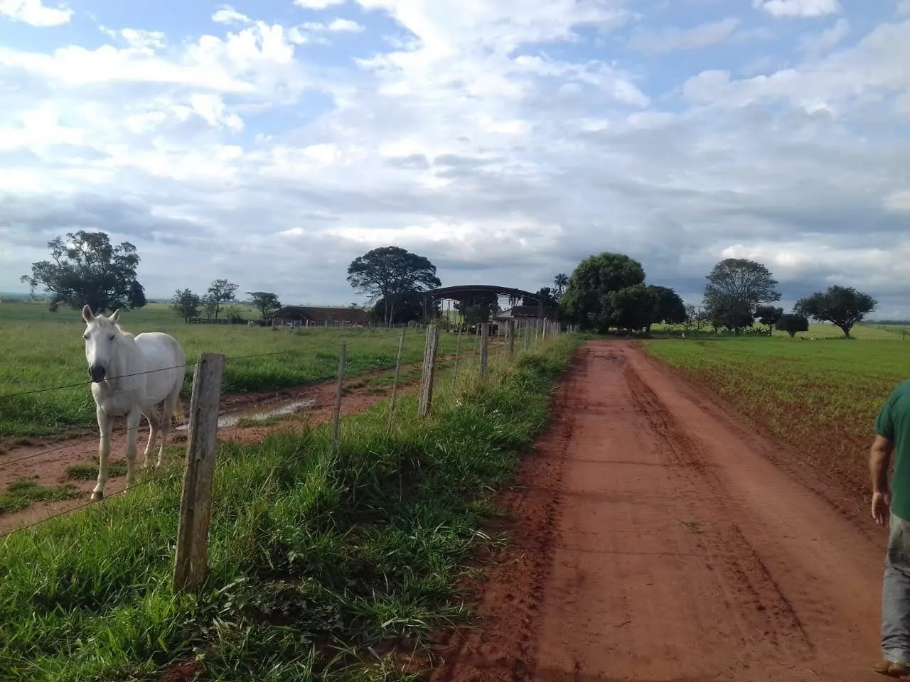 Fazenda à venda de 340 ha em Martinópolis, SP, Brasil