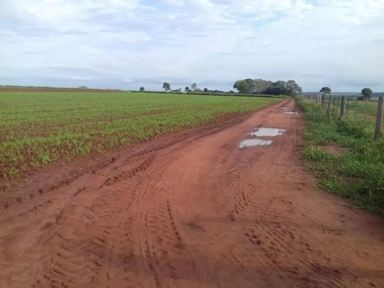 Fazenda à venda de 340 ha em Martinópolis, SP, Brasil