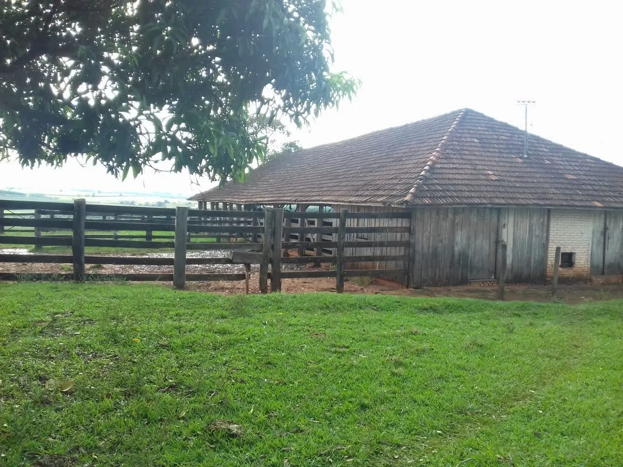 Fazenda à venda de 340 ha em Martinópolis, SP, Brasil
