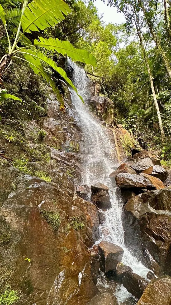 Fazenda à venda de 30 ha em Nova Trento, SC, Brasil
