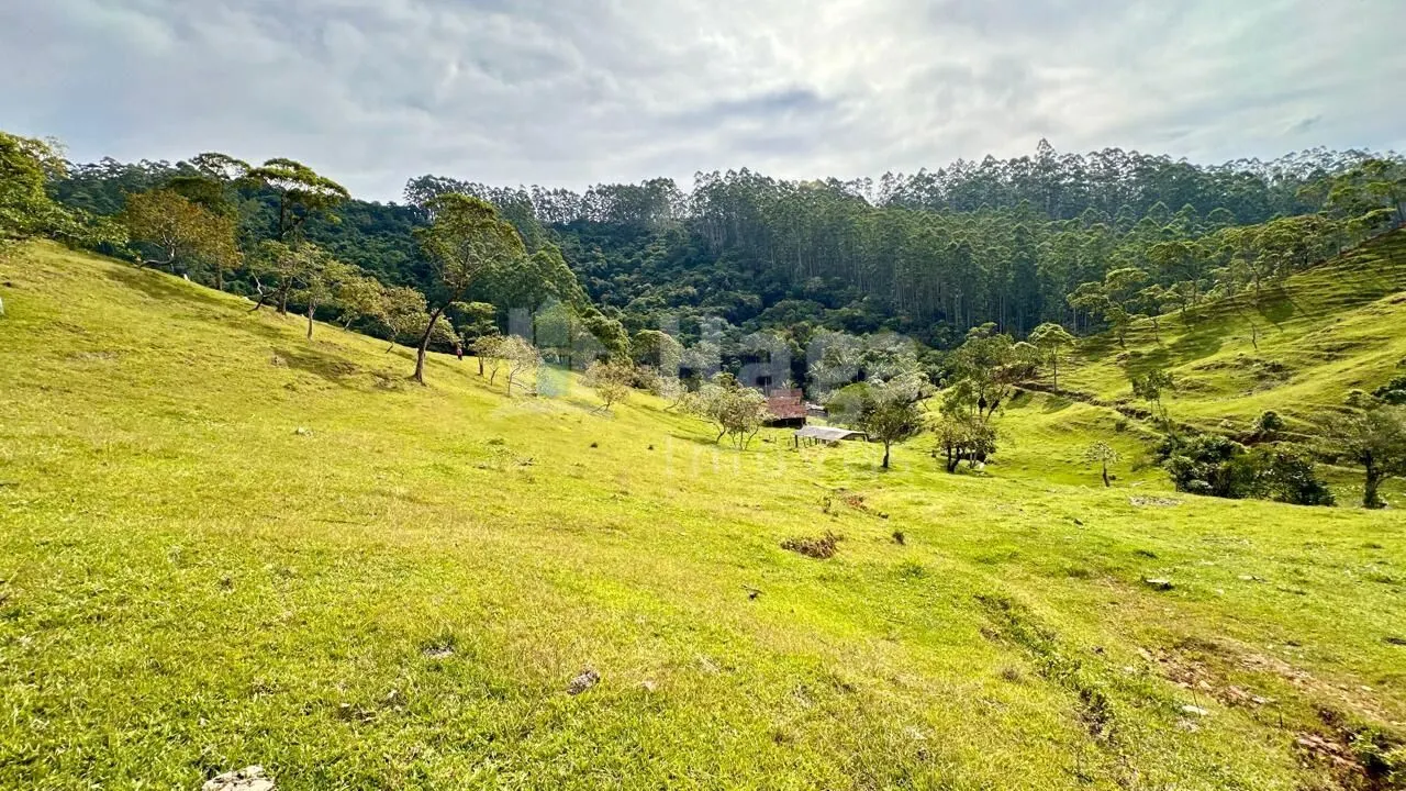 Fazenda à venda de 30 ha em Nova Trento, SC, Brasil