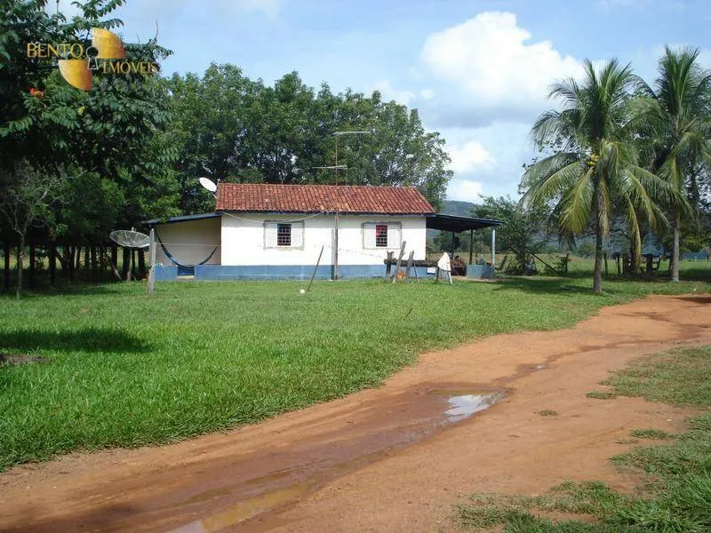 Fazenda à venda de 700 ha em Rondonópolis, MT, Brasil