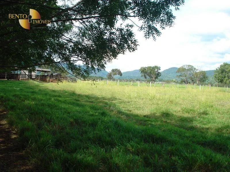 Fazenda à venda de 700 ha em Rondonópolis, MT, Brasil