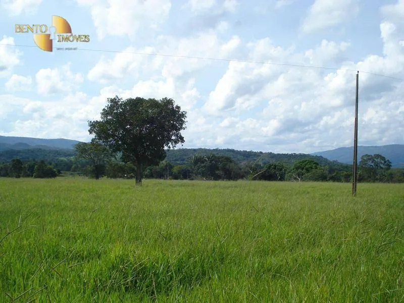 Fazenda à venda de 700 ha em Rondonópolis, MT, Brasil