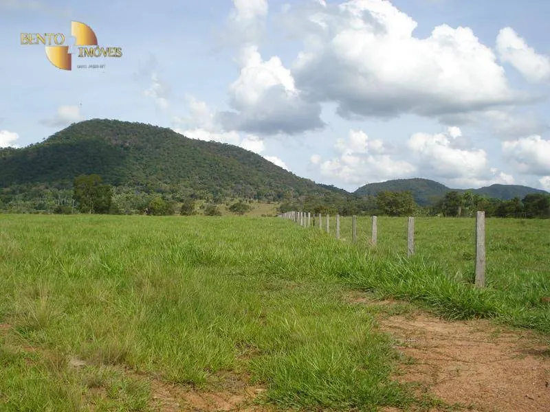 Fazenda à venda de 700 ha em Rondonópolis, MT, Brasil