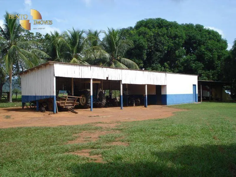 Fazenda à venda de 700 ha em Rondonópolis, MT, Brasil