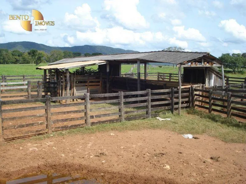 Fazenda à venda de 700 ha em Rondonópolis, MT, Brasil