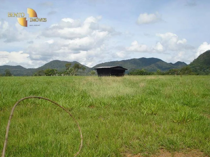 Fazenda à venda de 700 ha em Rondonópolis, MT, Brasil