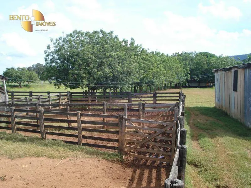 Fazenda à venda de 700 ha em Rondonópolis, MT, Brasil