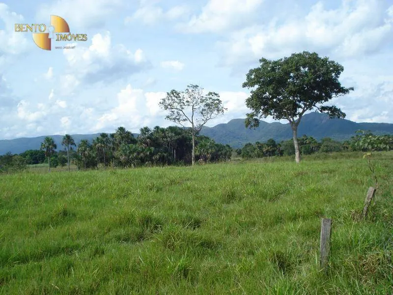 Fazenda à venda de 700 ha em Rondonópolis, MT, Brasil