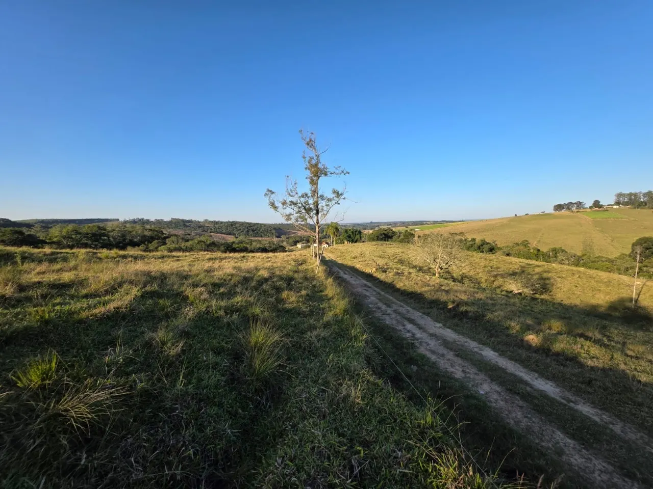 Fazenda à venda de 45 ha em São Miguel Arcanjo, SP, Brasil