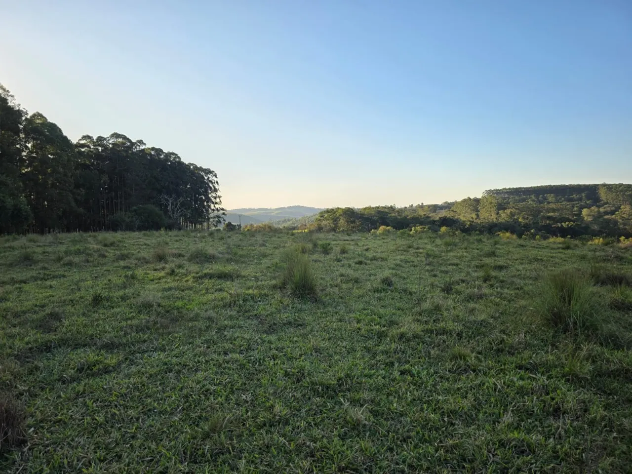 Fazenda à venda de 45 ha em São Miguel Arcanjo, SP, Brasil