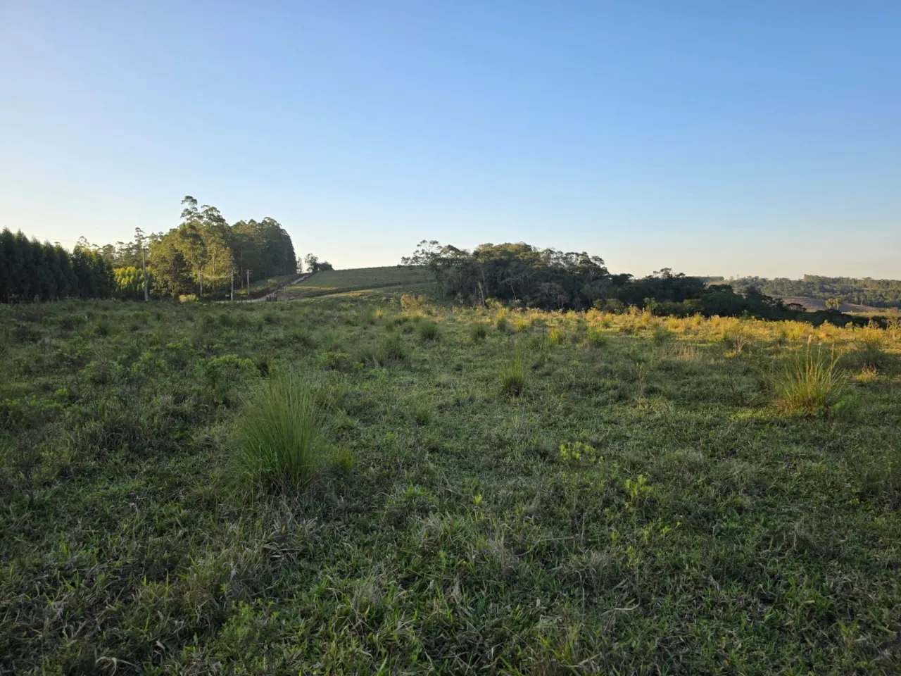 Fazenda à venda de 45 ha em São Miguel Arcanjo, SP, Brasil