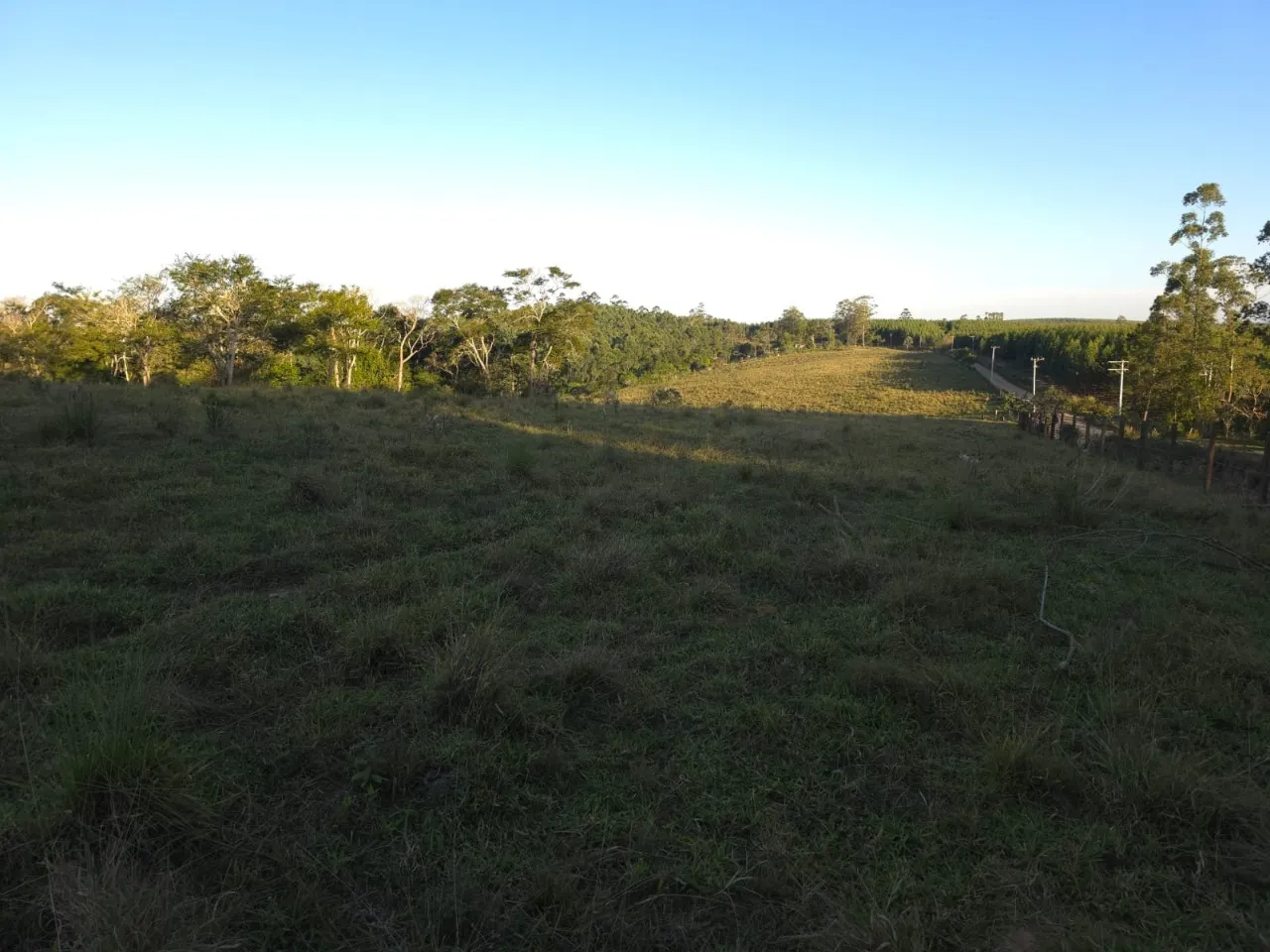Fazenda à venda de 45 ha em São Miguel Arcanjo, SP, Brasil