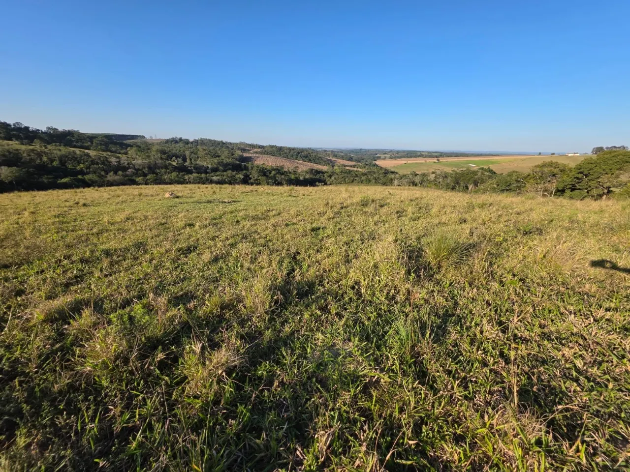 Fazenda à venda de 45 ha em São Miguel Arcanjo, SP, Brasil