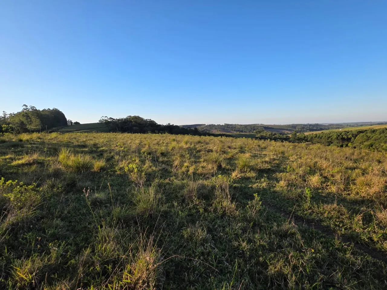 Fazenda à venda de 45 ha em São Miguel Arcanjo, SP, Brasil