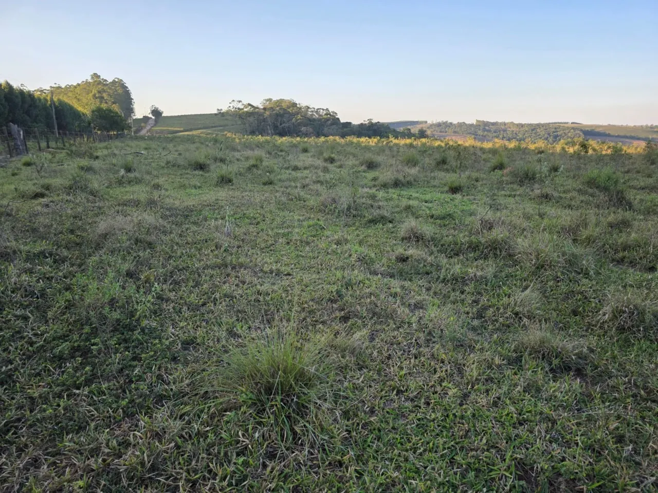 Fazenda à venda de 45 ha em São Miguel Arcanjo, SP, Brasil
