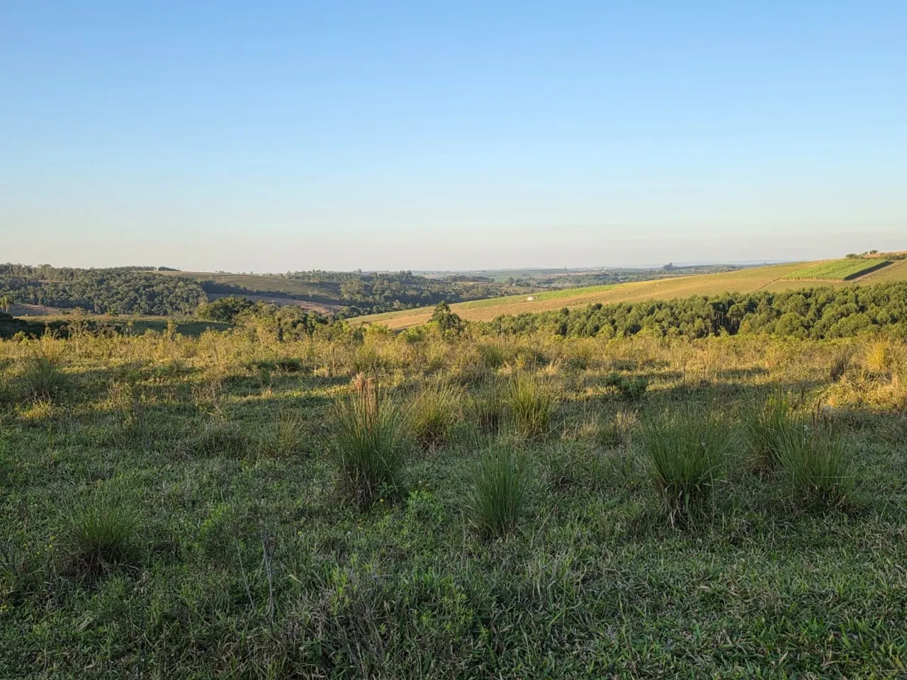 Fazenda à venda de 45 ha em São Miguel Arcanjo, SP, Brasil