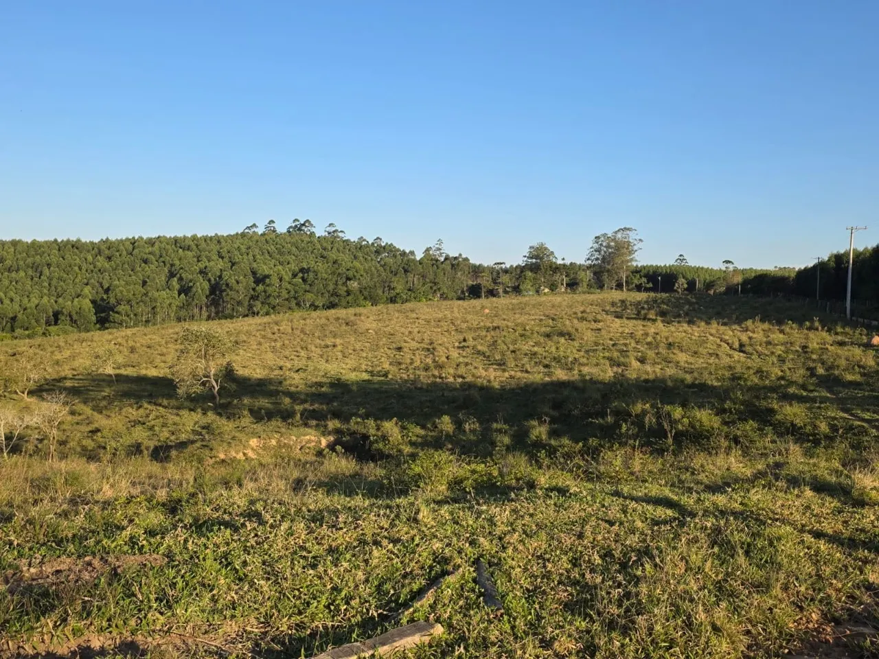 Fazenda à venda de 45 ha em São Miguel Arcanjo, SP, Brasil