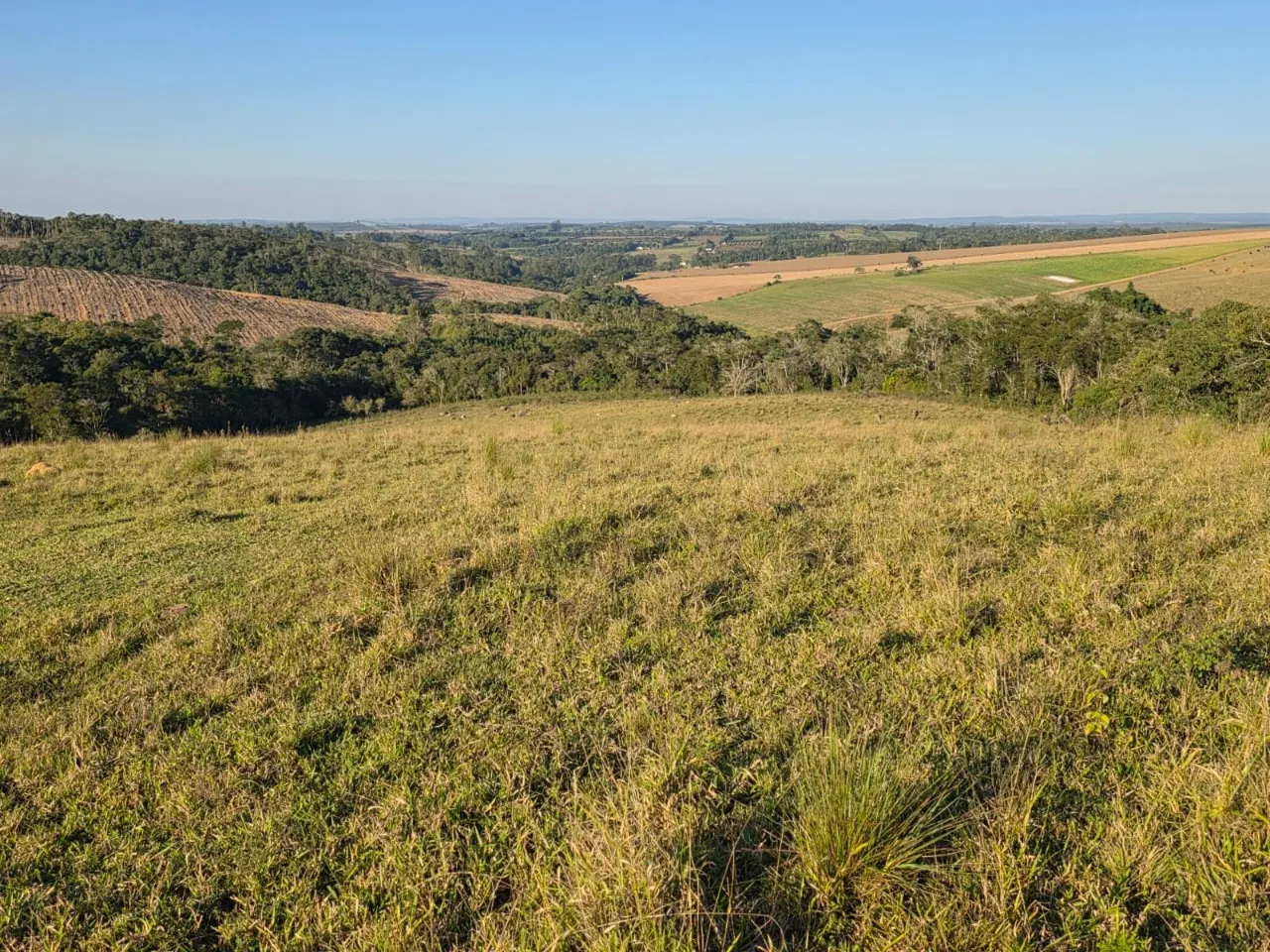 Fazenda à venda de 45 ha em São Miguel Arcanjo, SP, Brasil
