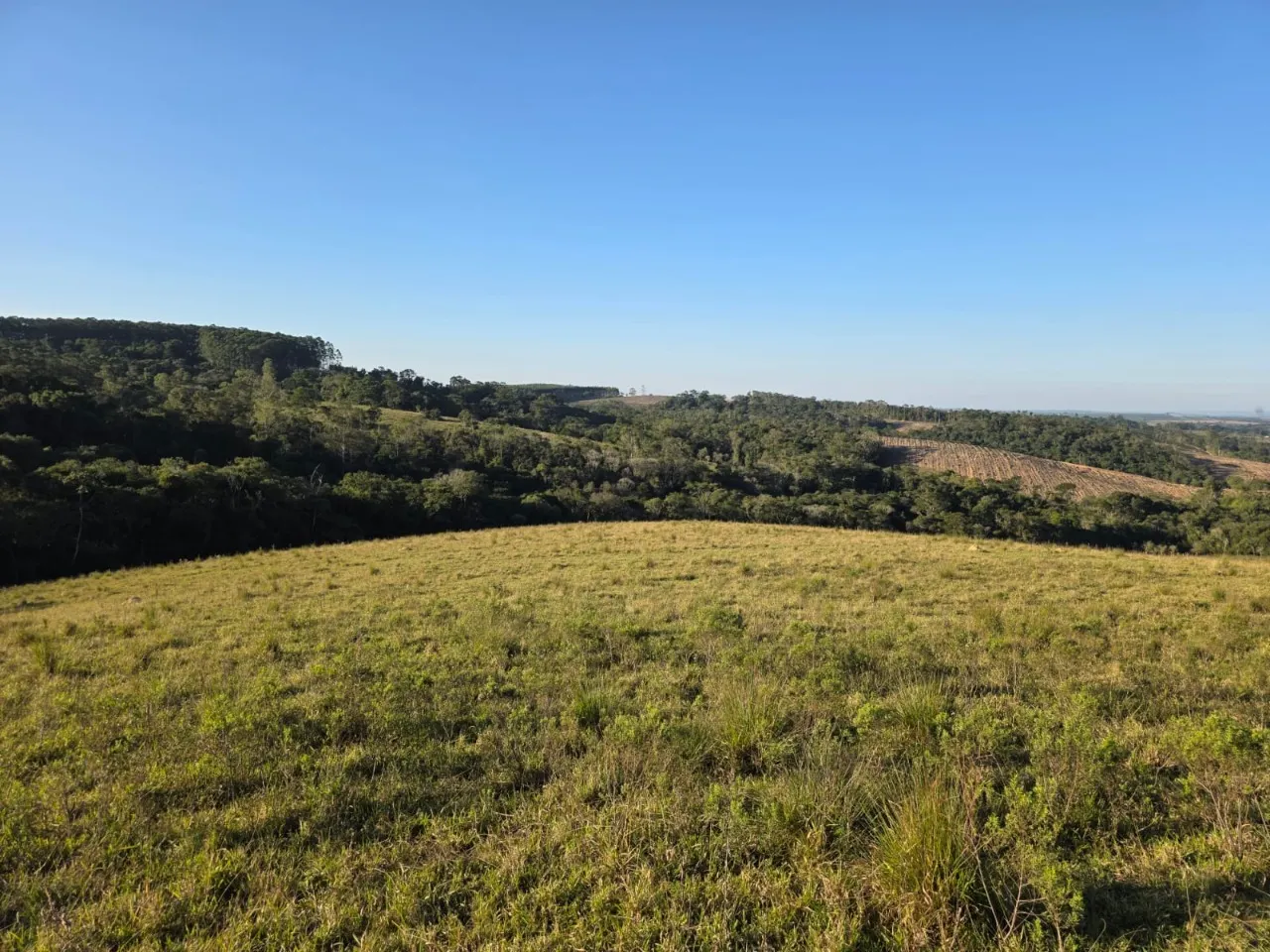 Fazenda à venda de 45 ha em São Miguel Arcanjo, SP, Brasil