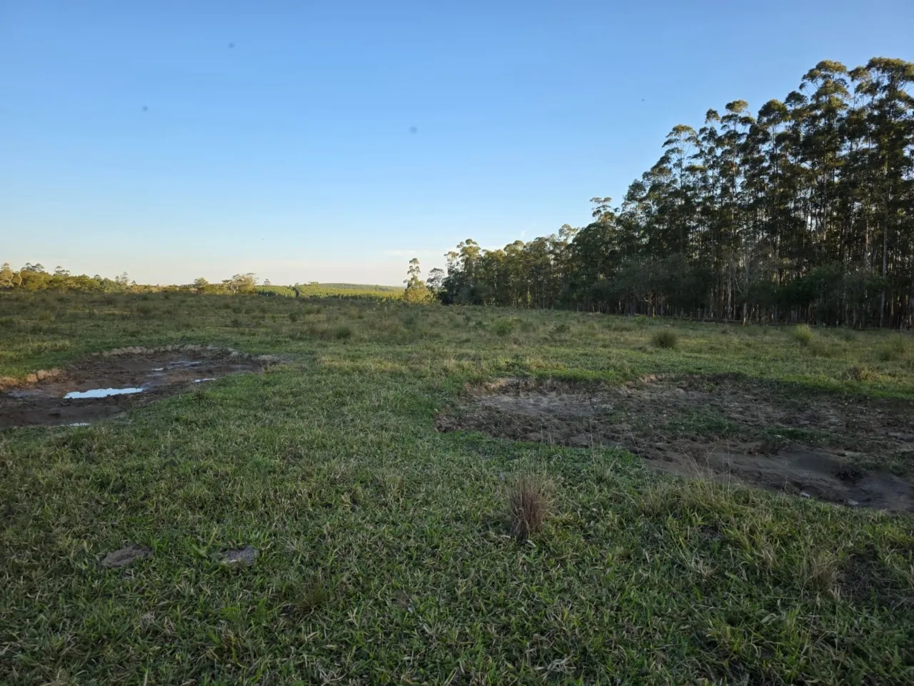 Fazenda à venda de 45 ha em São Miguel Arcanjo, SP, Brasil