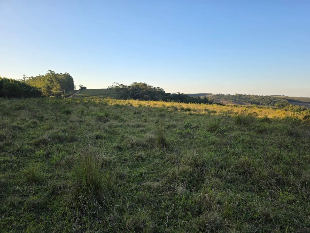 Fazenda à venda de 45 ha em São Miguel Arcanjo, SP, Brasil