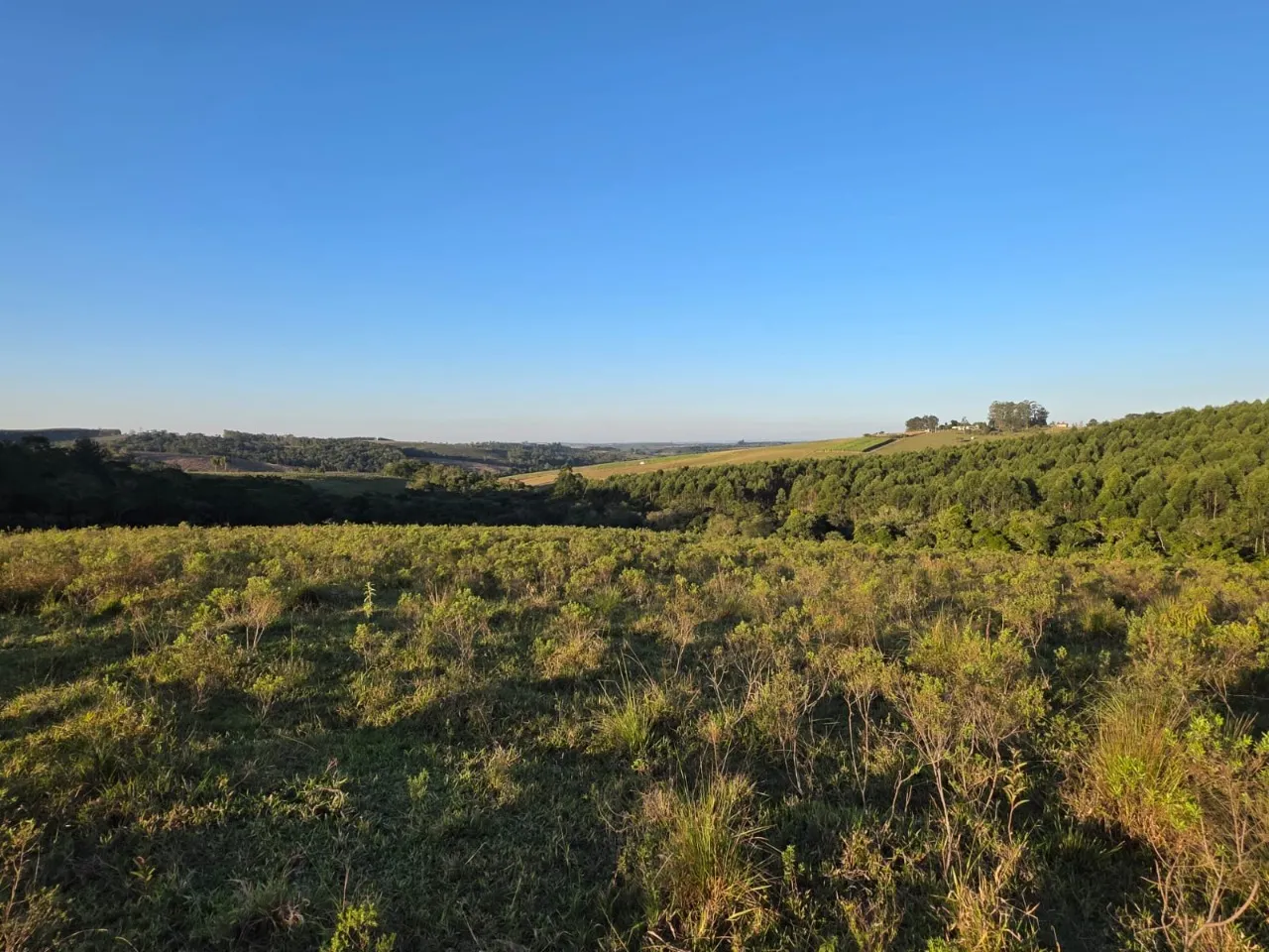 Fazenda à venda de 45 ha em São Miguel Arcanjo, SP, Brasil