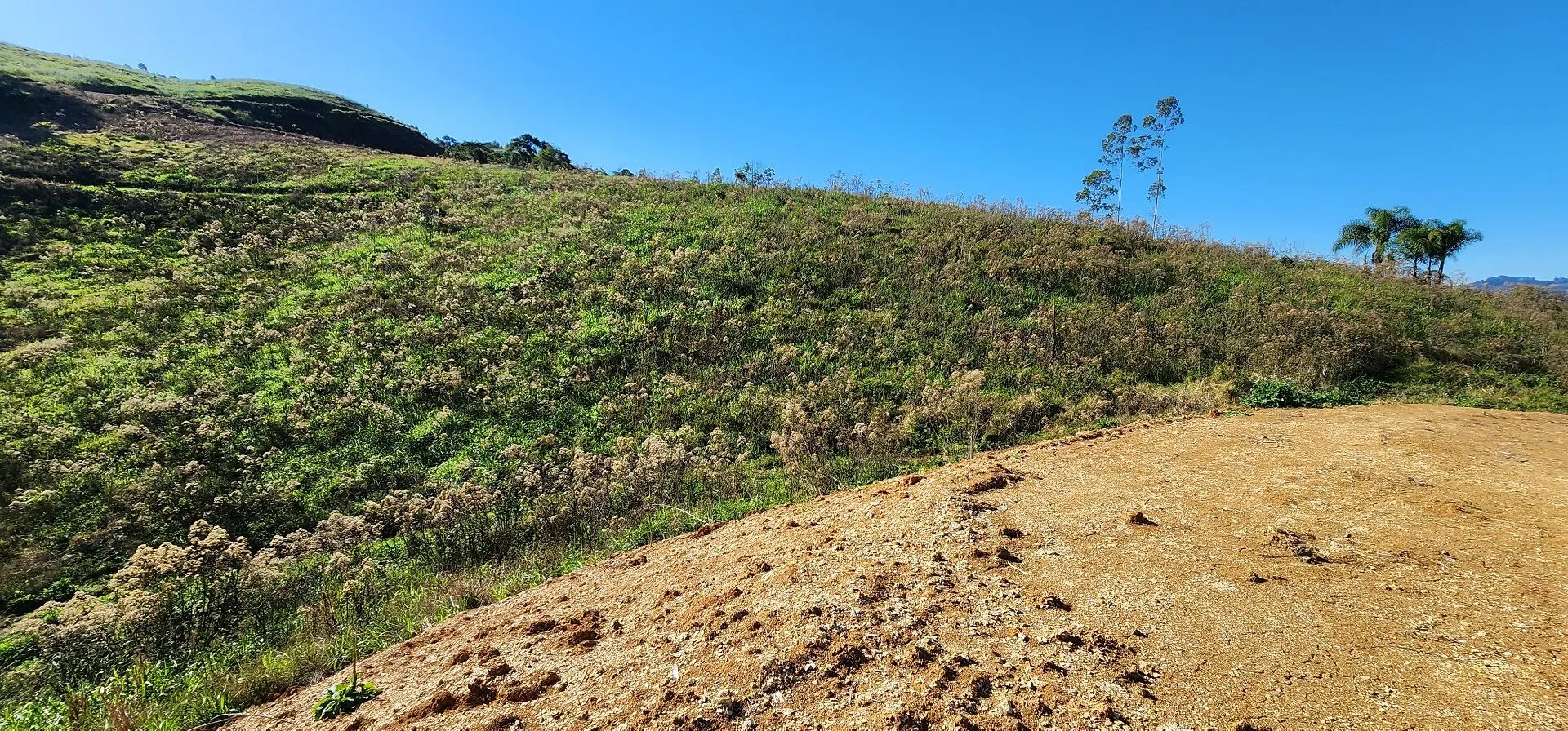 Terreno à venda de 2 ha em Presidente Nereu, SC, Brasil