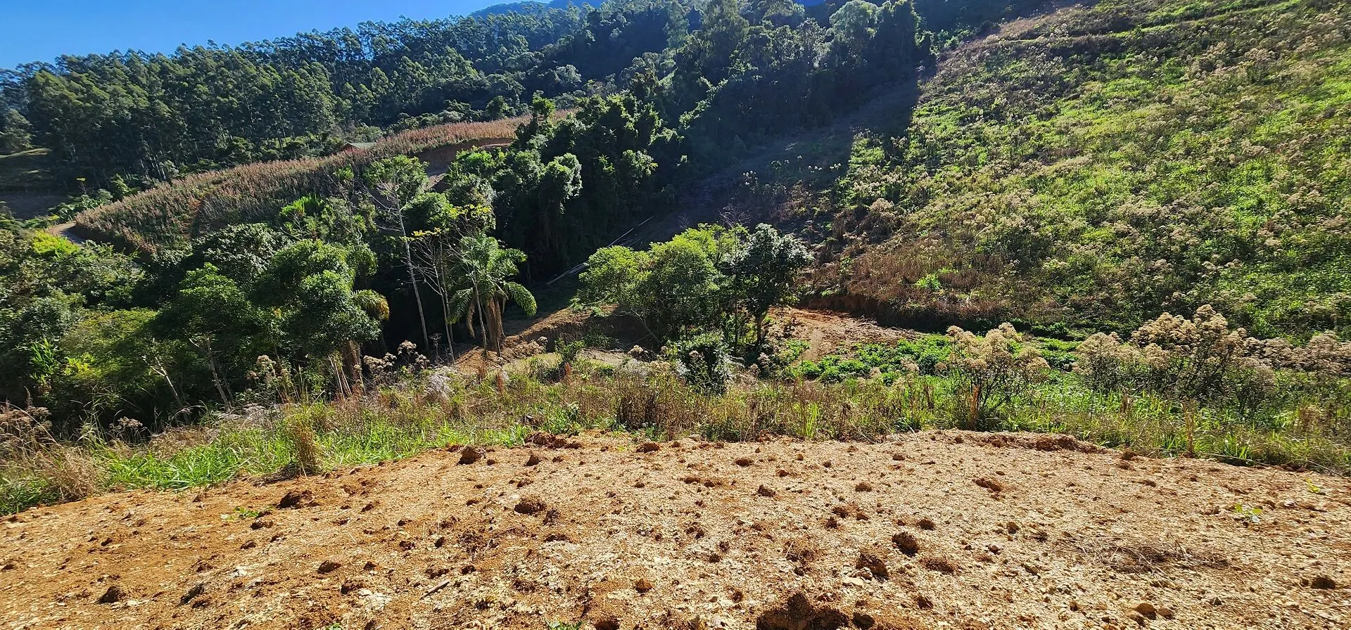 Terreno à venda de 2 ha em Presidente Nereu, SC, Brasil