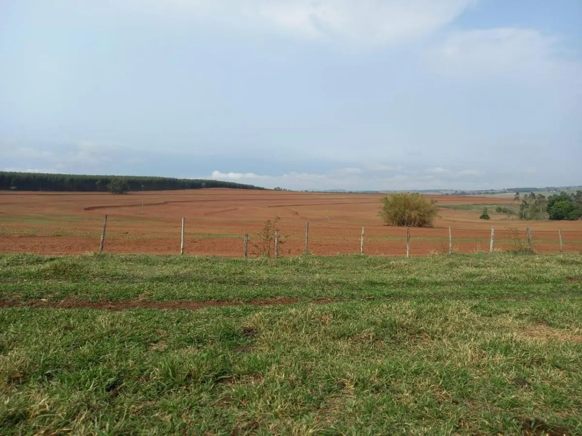 Fazenda à venda de 142 ha em Marília, SP, Brasil