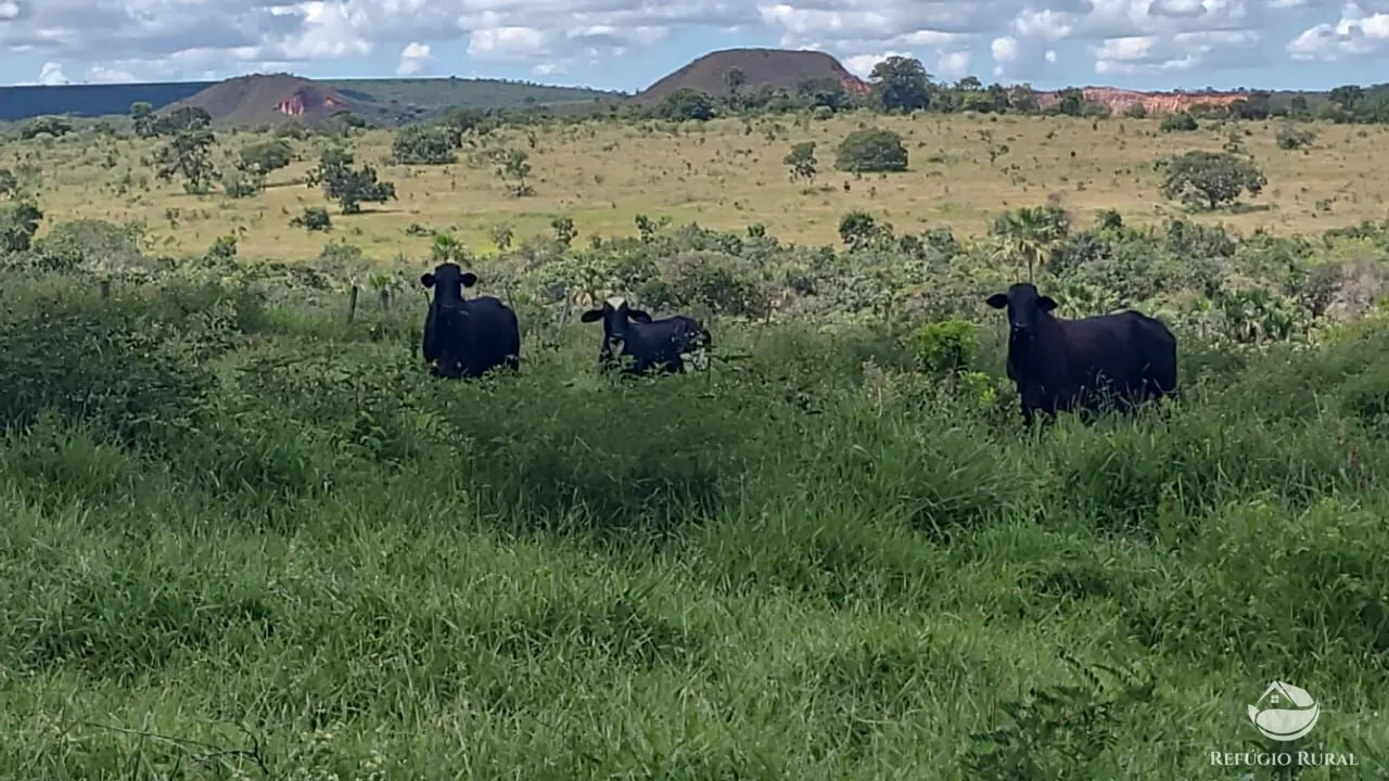 Fazenda à venda de 3.250 ha em Varjão de MInas, MG, Brasil