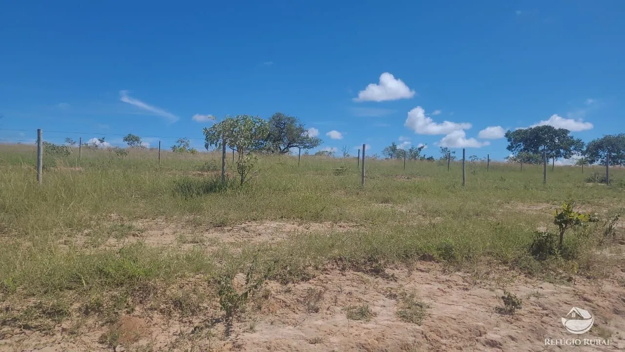 Fazenda à venda de 3.250 ha em Varjão de MInas, MG, Brasil