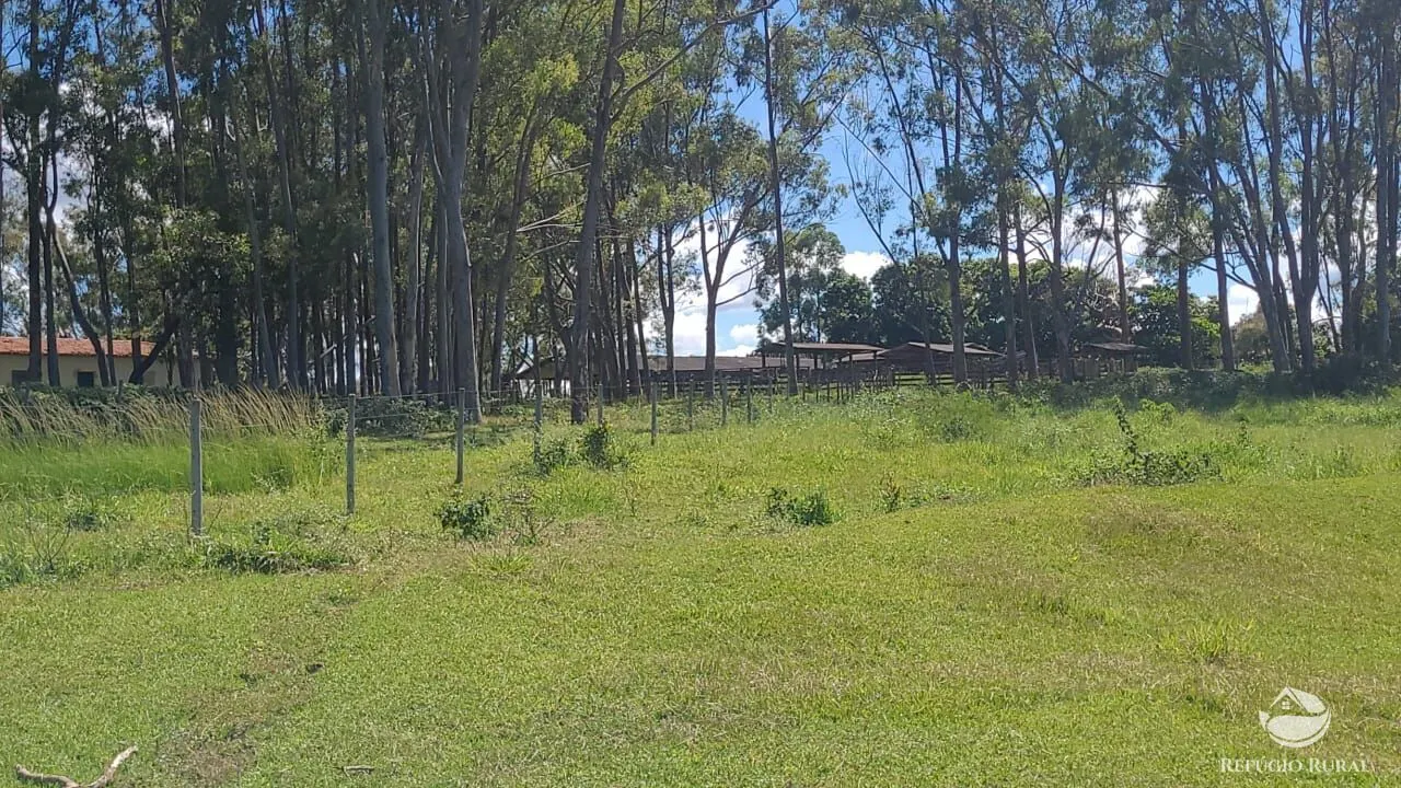 Fazenda à venda de 3.250 ha em Varjão de MInas, MG, Brasil