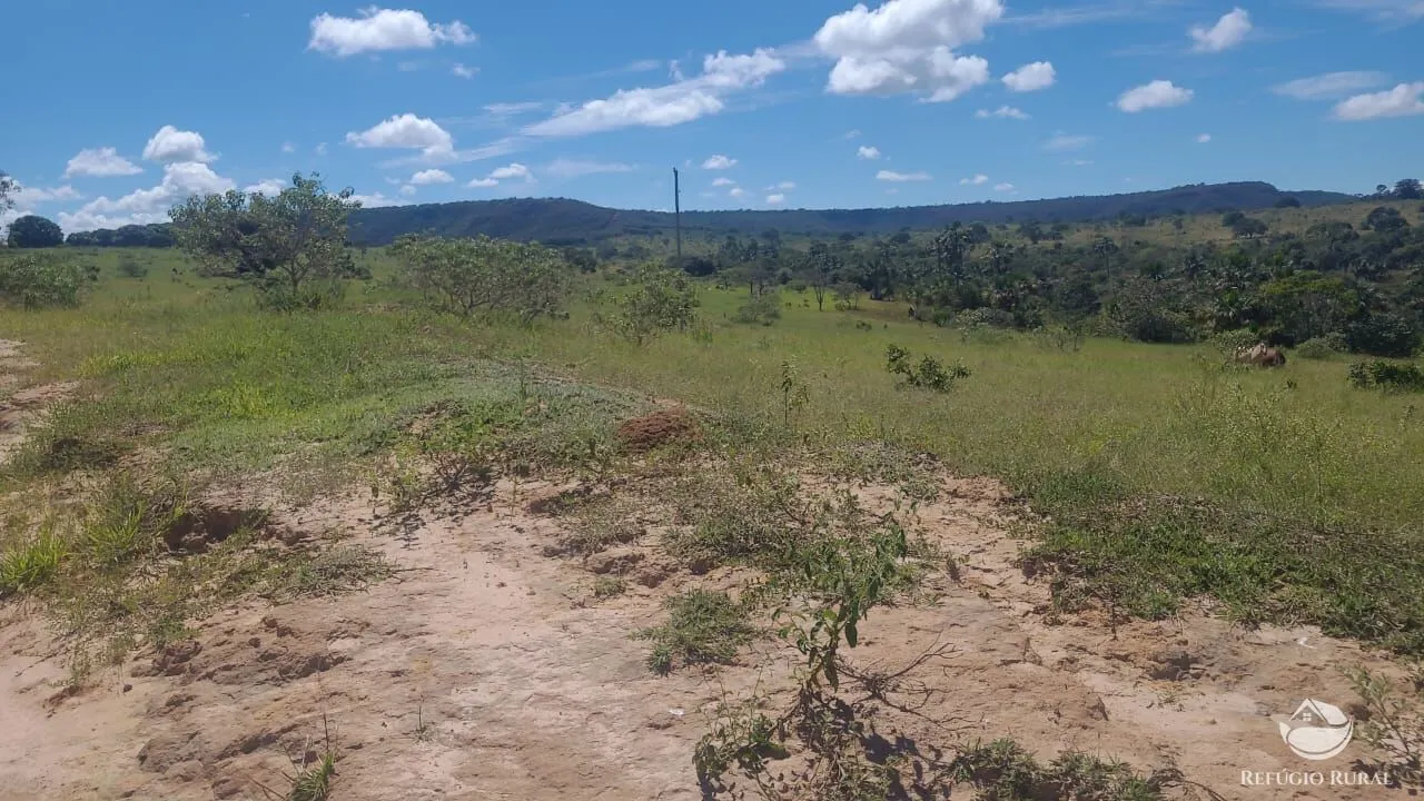 Fazenda à venda de 3.250 ha em Varjão de MInas, MG, Brasil