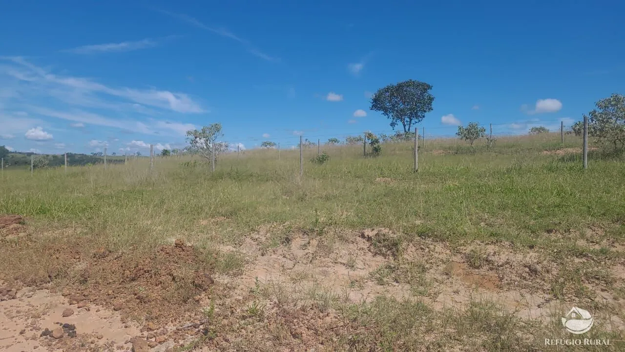 Fazenda à venda de 3.250 ha em Varjão de MInas, MG, Brasil