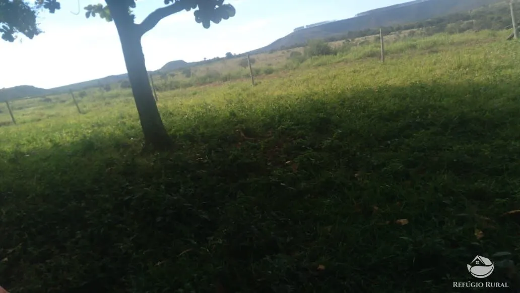 Fazenda à venda de 3.250 ha em Varjão de MInas, MG, Brasil