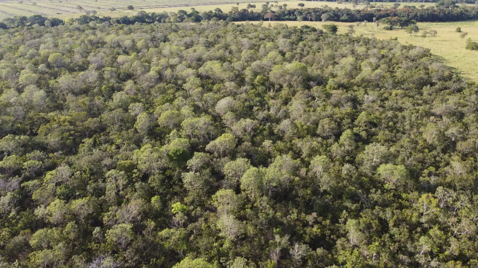 Fazenda à venda de 75 ha em Jaú do Tocantins, TO, Brasil