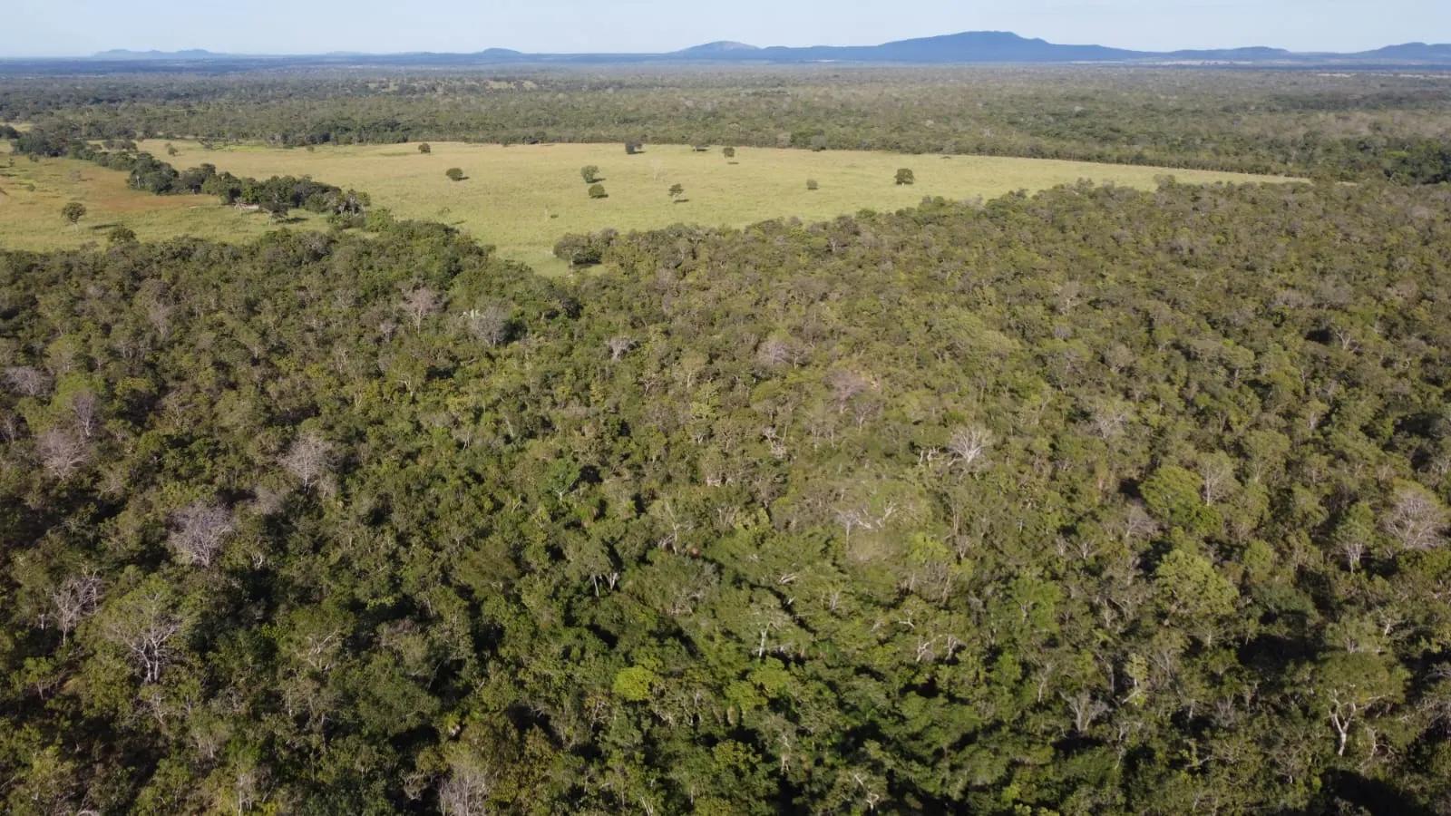 Fazenda à venda de 75 ha em Jaú do Tocantins, TO, Brasil